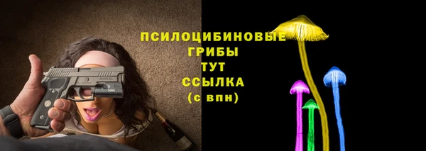 a pvp Верхний Тагил