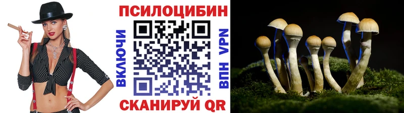 Псилоцибиновые грибы MAGIC MUSHROOMS  Купить  Княгинино 