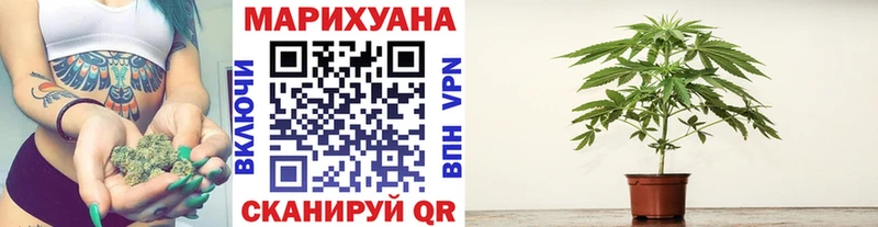 Шишки марихуана SATIVA & INDICA  Купить  Княгинино 